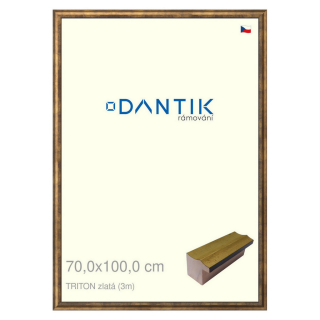 DANTIK rámeček 70x100 | TRITON zlatá (Plexi Čiré)