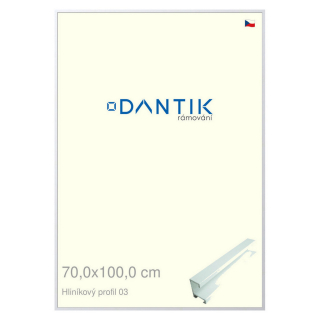 DANTIK rámeček 70x100 | ALU profil 7003 Bílá matná (Plexi Čiré)