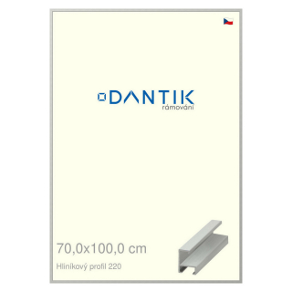 DANTIK rámeček 70x100 | ALU profil 6220 Stříbrná matná (Plexi Čiré)