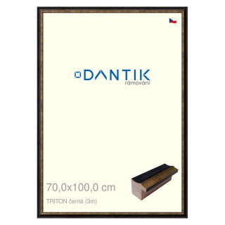DANTIK rámeček 70x100 | TRITON černá (Plexi Čiré)