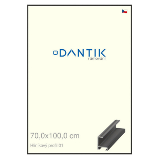 DANTIK rámeček 70x100 | ALU profil 6001 Černá matná (Plexi Čiré)