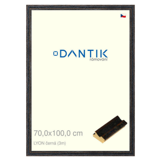 DANTIK rámeček 70x100 | LYON černá (Plexi Čiré)
