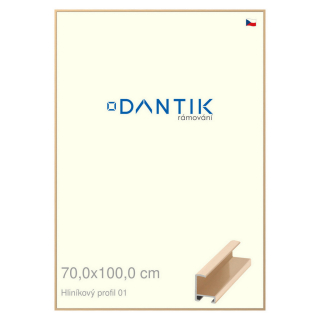 DANTIK rámeček 70x100 | ALU profil 6001 Zlatá lesklá (Plexi Čiré)