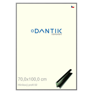 DANTIK rámeček 70x100 | ALU profil 7002 Šedá leská (Plexi Čiré)