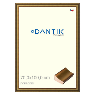 DANTIK rámeček 70x100 | Doprodej | METAL AU prohlá velká (Plexi Čiré)