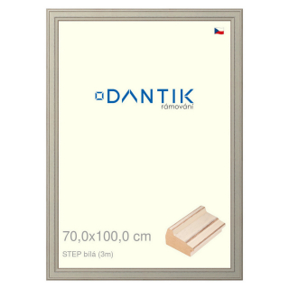 DANTIK rámeček 70x100 | STEP bílá (Plexi Čiré)