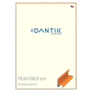 DANTIK rámeček 70x100 | ALU profil 6030 Dýha barevná oranžová (Plexi Čiré)