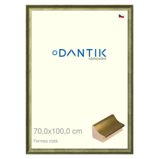DANTIK rámeček 70x100 | Ferrosa zlatá (Plexi Čiré)