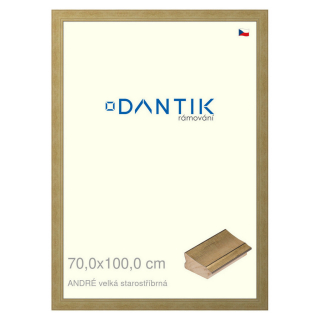 DANTIK rámeček 70x100 | ANDRÉ velká starostříbrná (Plexi Čiré)