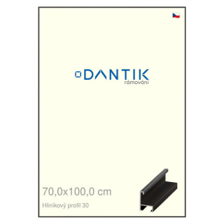 DANTIK rámeček 70x100 | ALU profil 6030 Dýha černá (Plexi Čiré)