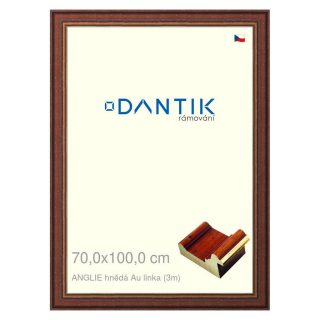 DANTIK rámeček 70x100 | ANGLIE hnědá Au linka (Plexi Čiré)