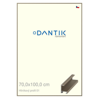 DANTIK rámeček 70x100 | ALU profil 6001 champagne (Plexi Čiré)