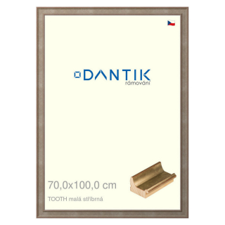 DANTIK rámeček 70x100 | TOOTH malá stříbrná (Plexi Čiré)