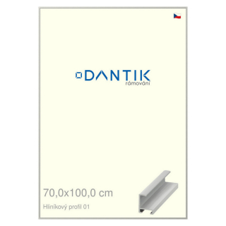 DANTIK rámeček 70x100 | ALU profil 6001 Stříbrná matná (Plexi Čiré)