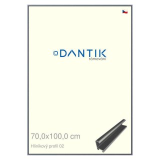 DANTIK rámeček 70x100 | ALU profil 7002 Platina matná (Plexi Čiré)
