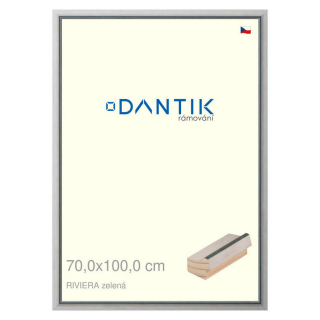 DANTIK rámeček 70x100 | RIVIERA zelená (Plexi Čiré)