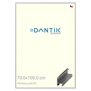 DANTIK rámeček 70x100 | ALU profil 6030 Ocelová (Plexi Čiré)