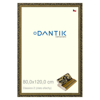DANTIK rámeček 80x120 | Claico 2 (zlato ořechy) (Plexi Čiré)