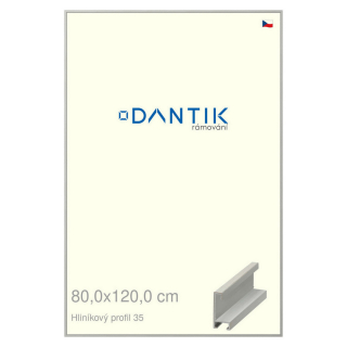 DANTIK rámeček 80x120 | ALU profil 6035 Dýha barevná šedá (Plexi Čiré)