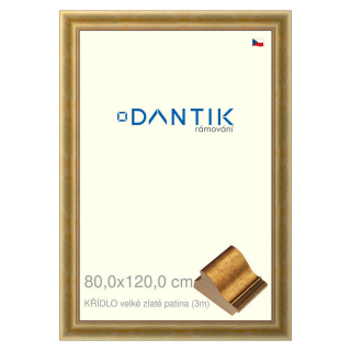DANTIK rámeček 80x120 | KŘÍDLO velké zlaté patina (Plexi Čiré)