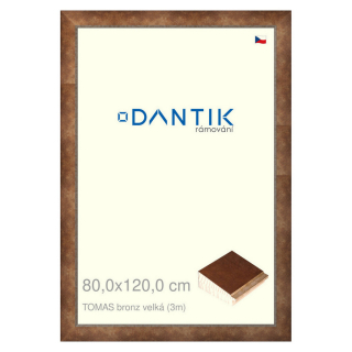 DANTIK rámeček 80x120 | TOMAS bronz velká (Plexi Čiré)