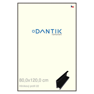 DANTIK rámeček 80x120 | ALU profil 7022 Černá matná (Plexi Čiré)