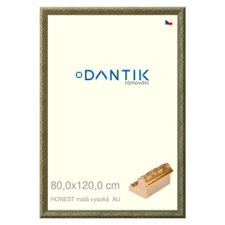 DANTIK rámeček 80x120 | HONEST malá vysoká AU (Plexi Čiré)
