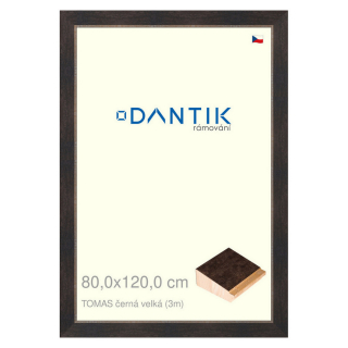 DANTIK rámeček 80x120 | TOMAS černá velká (Plexi Čiré)