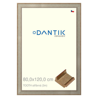 DANTIK rámeček 80x120 | TOOTH stříbrná (Plexi Čiré)
