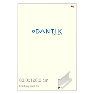 DANTIK rámeček 80x120 | ALU profil 6035 Dýha bílá (Plexi Čiré)