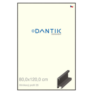 DANTIK rámeček 80x120 | ALU profil 6035 Dýha černá (Plexi Čiré)