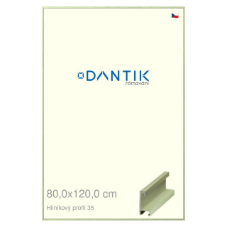 DANTIK rámeček 80x120 | ALU profil 6035 Dýha barevná zelená pastel (Plexi Čiré)