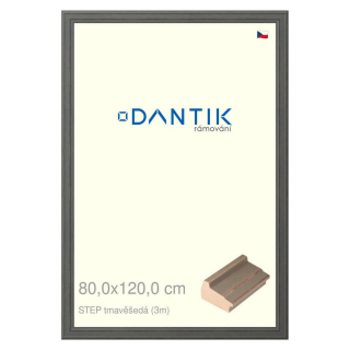 DANTIK rámeček 80x120 | STEP tmavěšedá (Plexi Čiré)