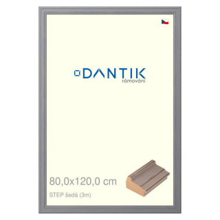 DANTIK rámeček 80x120 | STEP šedá (Plexi Čiré)