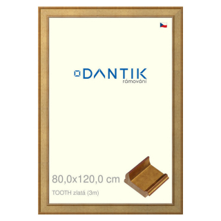 DANTIK rámeček 80x120 | TOOTH zlatá (Plexi Čiré)