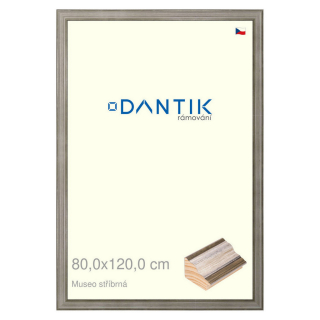 DANTIK rámeček 80x120 | Museo stříbrná (Plexi Čiré)