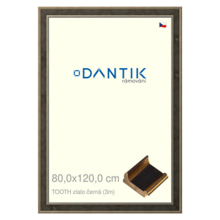 DANTIK rámeček 80x120 | TOOTH zlato černá (Plexi Čiré)