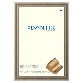 DANTIK rámeček 80x120 | KŘÍDLO velké stříbrné patina (Plexi Čiré)
