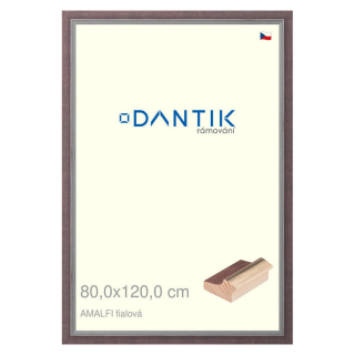DANTIK rámeček 80x120 | AMALFI fialová (Plexi Čiré)