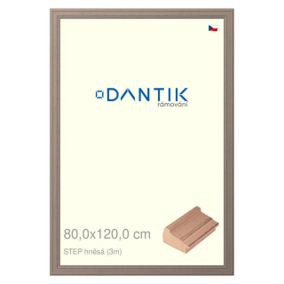 DANTIK rámeček 80x120 | STEP hnědá (Plexi Čiré)