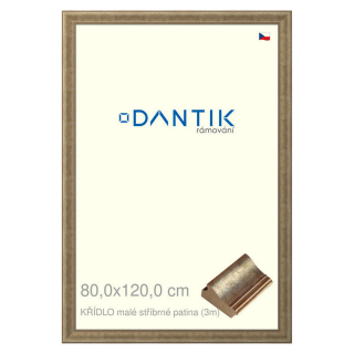 DANTIK rámeček 80x120 | KŘÍDLO malé stříbrné patina (Plexi Čiré)