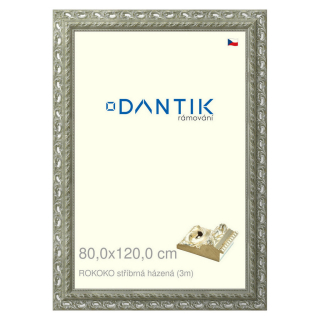 DANTIK rámeček 80x120 | ROKOKO stříbrná házená (Plexi Čiré)
