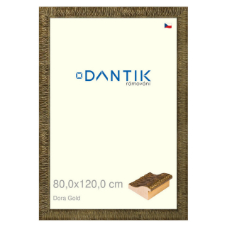 DANTIK rámeček 80x120 | Dora Gold (Plexi Čiré)