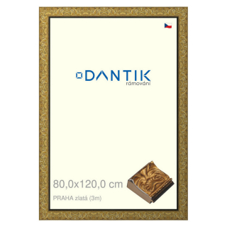 DANTIK rámeček 80x120 | PRAHA zlatá (Plexi Čiré)