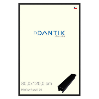 DANTIK rámeček 80x120 | ALU profil 7005 Černá matná (Plexi Čiré)