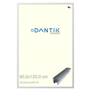 DANTIK rámeček 80x120 | ALU profil 7005 Stříbrná matná (Plexi Čiré)