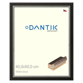 DANTIK rámeček 40x50 | TAIGA černá (Plexi Čiré)