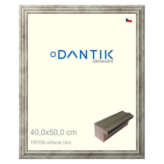 DANTIK rámeček 40x50 | TRITON stříbrná (Plexi Čiré)