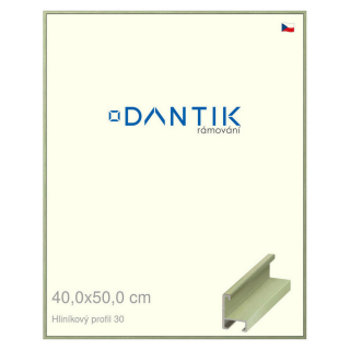 DANTIK rámeček 40x50 | ALU profil 6030 Dýha barevná zelená pastel (Plexi Čiré)