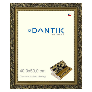DANTIK rámeček 40x50 | Claico 2 (zlato ořechy) (Plexi Čiré)